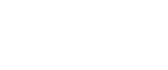 gymflex logo